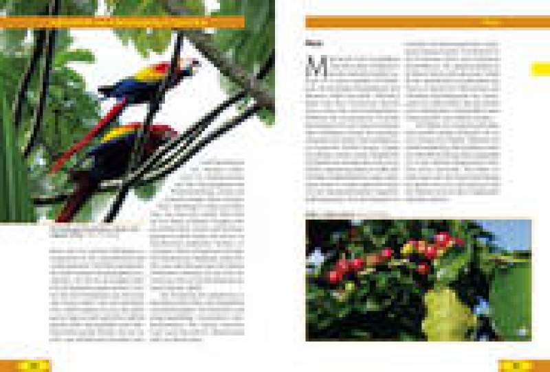 Preview: Costa Rica – Naturreiseführer
